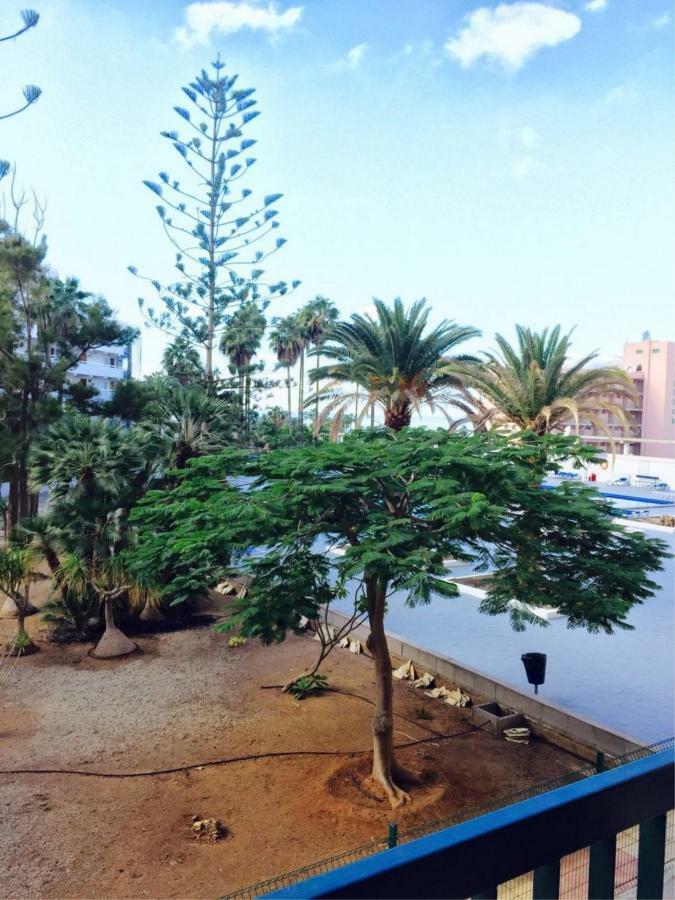 Enjoy The Sea And Pool In Playa De Las Americas Buitenkant foto
